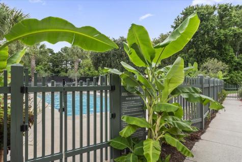 23 Robert Mills Circle Mount Pleasant SC 29464