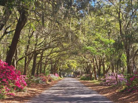 562 Fort Johnson Road Charleston SC 29412