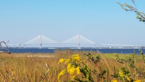 562 Fort Johnson Road Charleston SC 29412