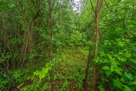 417 Stonefield Circle Moncks Corner SC 29461