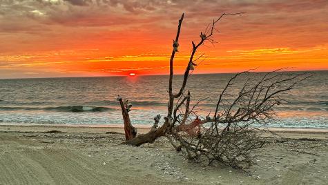 19 Lost Village Trail Edisto Beach SC 29438