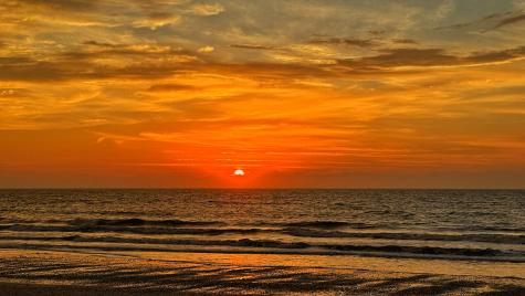 19 Lost Village Trail Edisto Beach SC 29438