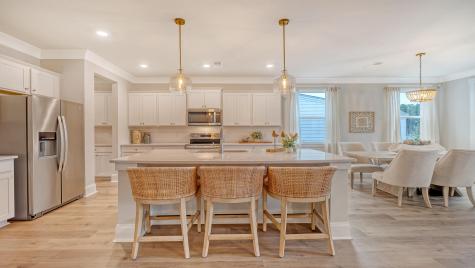 117 Midmills Lane Summerville SC 29486
