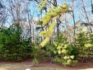 5472 Altamaha Drive North Charleston SC 29420