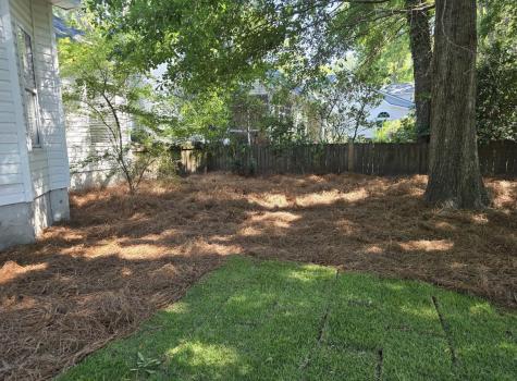 615 Majestic Oak Drive Charleston SC 29412