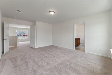 353 Blue Oak Drive Moncks Corner SC 29461