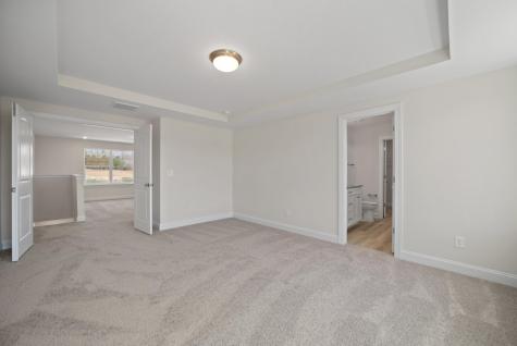 353 Blue Oak Drive Moncks Corner SC 29461