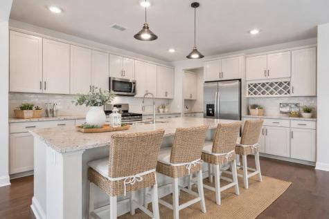 489 Spring Hollow Drive Charleston SC 29492