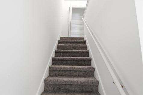 2937 Oxford Place Charleston SC 29414