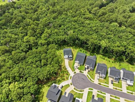 55 Red Bluff Street Summerville SC 29483
