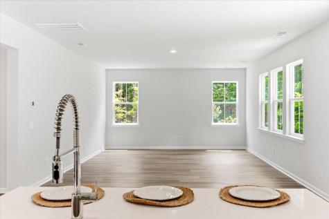 55 Red Bluff Street Summerville SC 29483