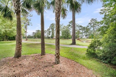 195 Prestwick Court Summerville SC 29483
