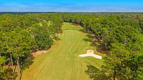 195 Prestwick Court Summerville SC 29483