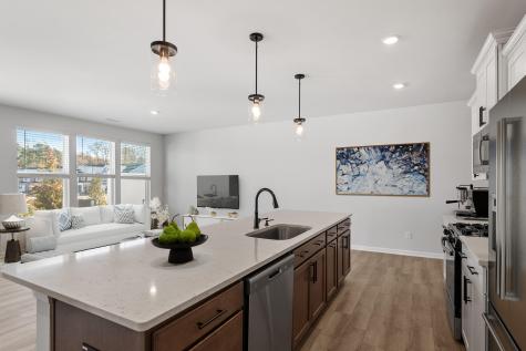 110 Dahlberg Street Summerville SC 29483