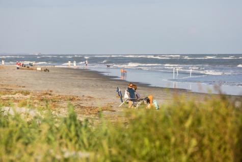 2730 Old Oak Walk Seabrook Island SC 29455