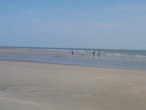 2730 Old Oak Walk Seabrook Island SC 29455