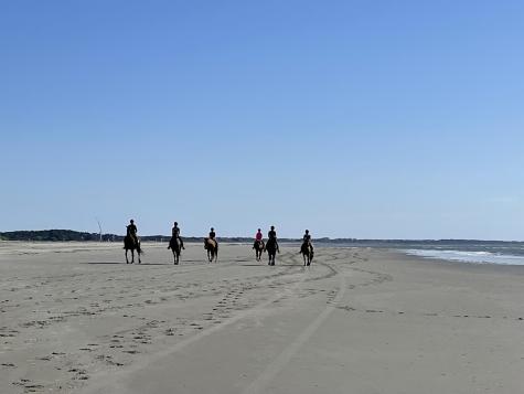 2730 Old Oak Walk Seabrook Island SC 29455