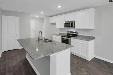 423 Olive Grouse Lane Gaston SC 29053