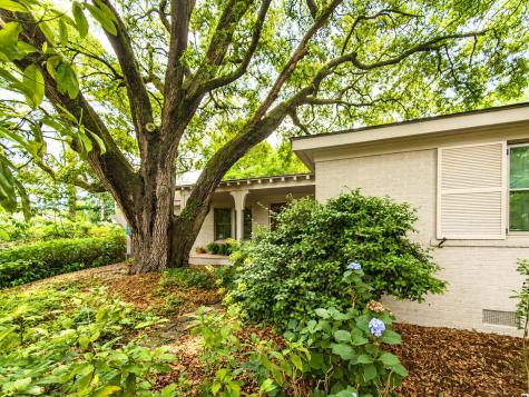 971 Cliffwood Drive Mount Pleasant SC 29464
