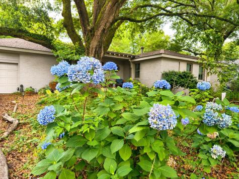 971 Cliffwood Drive Mount Pleasant SC 29464