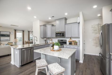 529 Red Monarch Way Moncks Corner SC 29461