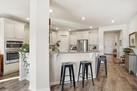 205 Witch Hazel Street Summerville SC 29486