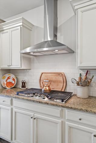 205 Witch Hazel Street Summerville SC 29486