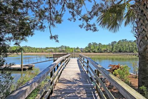 3682 Colonel Vanderhorst Circle Mount Pleasant SC 29466