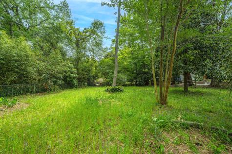1059 S Shem Drive Mount Pleasant SC 29464