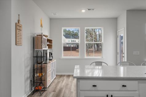 87 Red Bluff Street Summerville SC 29483
