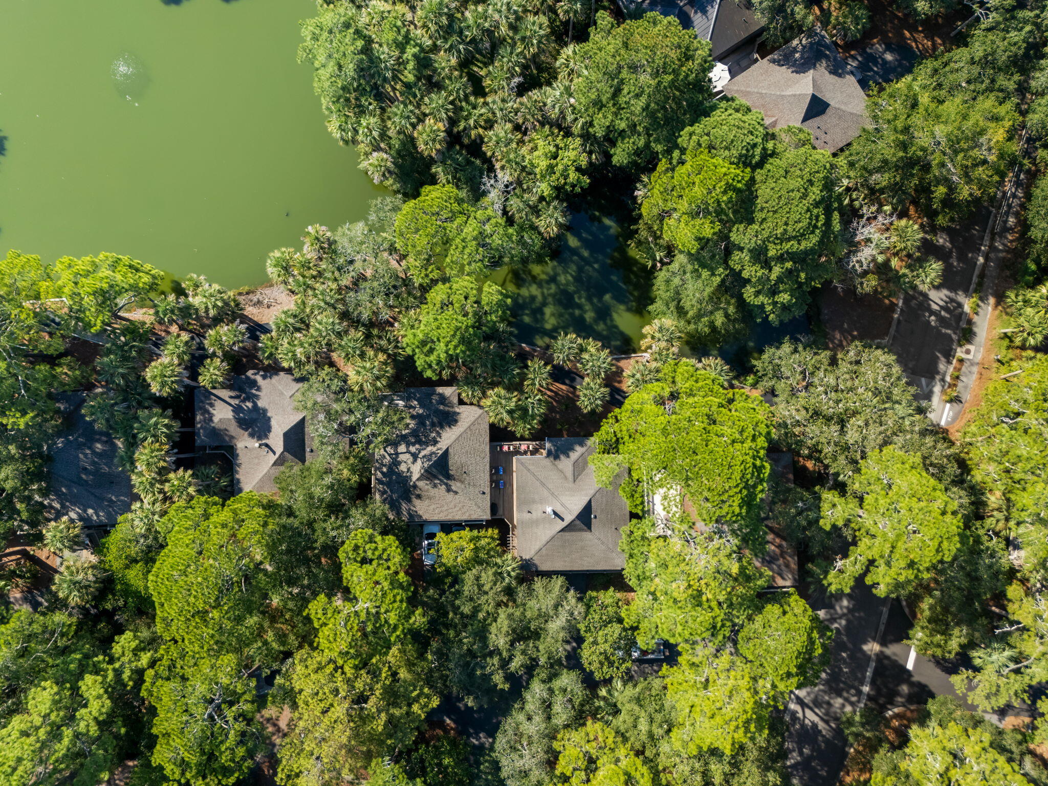 1045 Anhinga Court Kiawah Island SC 29455