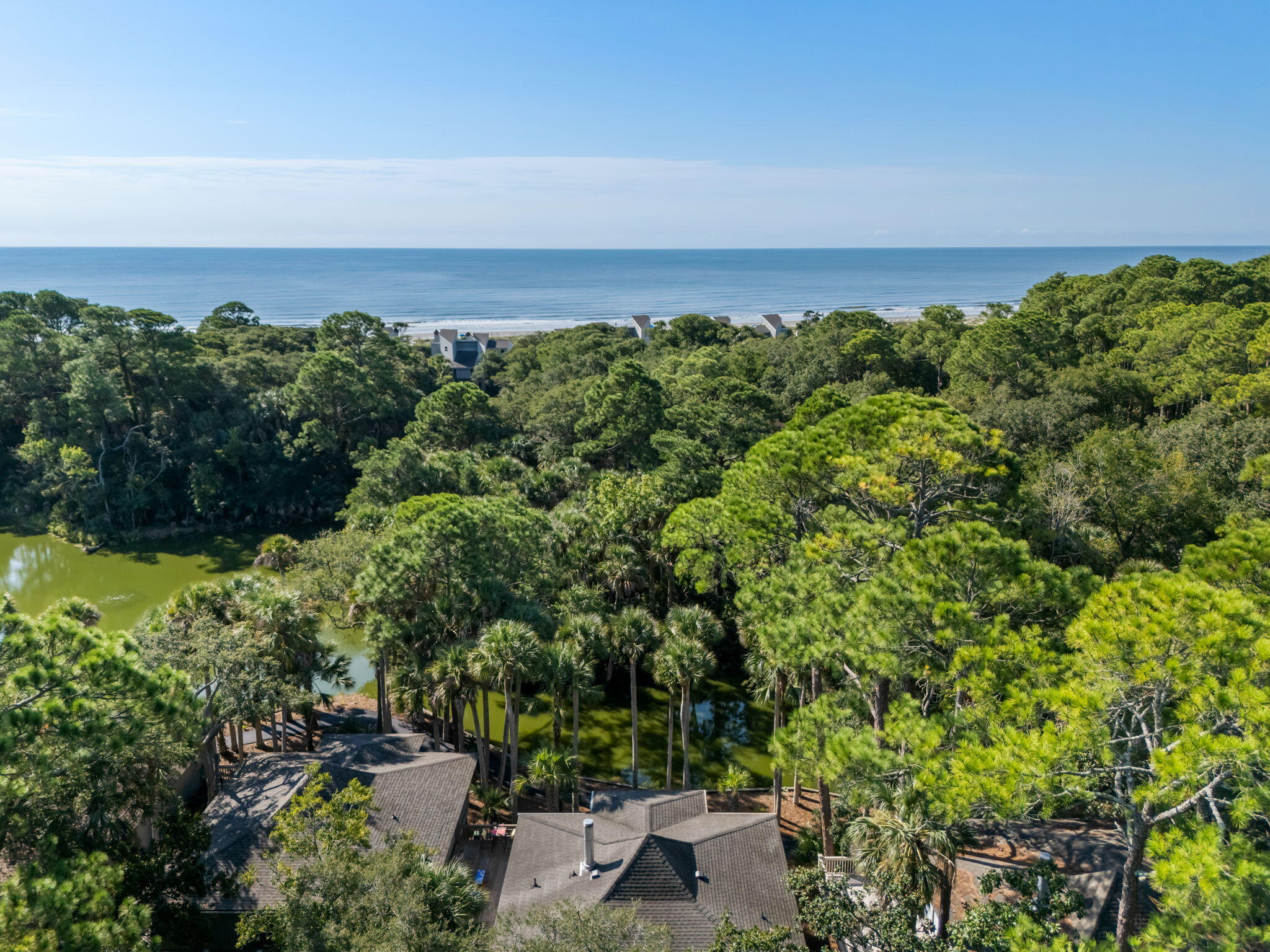 1045 Anhinga Court Kiawah Island SC 29455