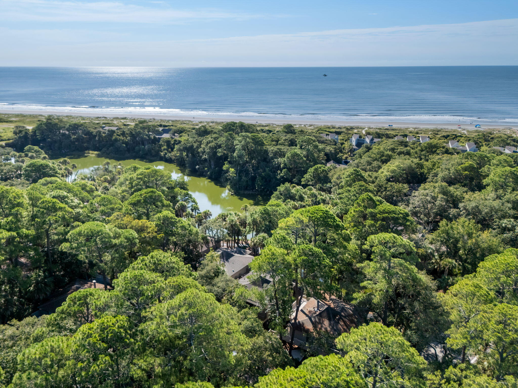 1045 Anhinga Court Kiawah Island SC 29455