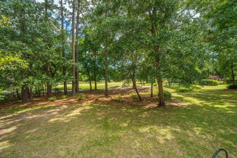 1183 Out Of Bounds Drive Summerville SC 29485