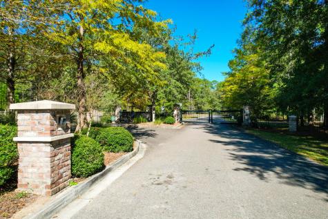 6530 Pepper Grass Trail Ravenel SC 29470