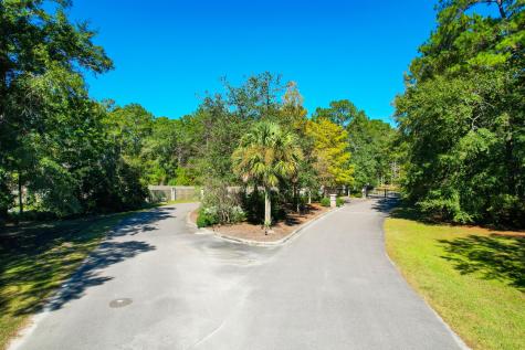 6530 Pepper Grass Trail Ravenel SC 29470