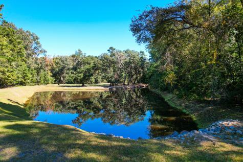 6530 Pepper Grass Trail Ravenel SC 29470