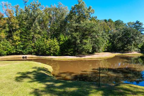 6530 Pepper Grass Trail Ravenel SC 29470