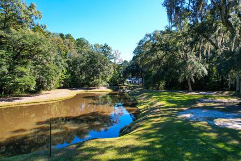 6530 Pepper Grass Trail Ravenel SC 29470