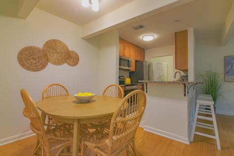 266 Alexandra Drive Mount Pleasant SC 29464