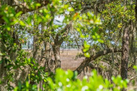 2690 Colonel Harrison Drive Johns Island SC 29455