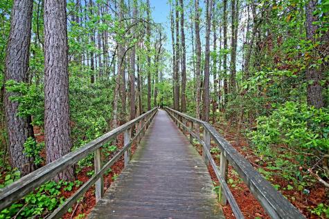 3438 Attley Street Mount Pleasant SC 29466