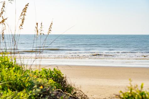 6 29th Avenue Isle Of Palms SC 29451
