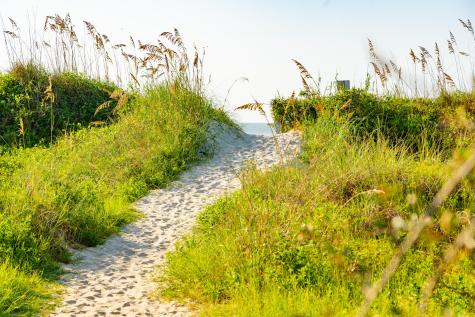 6 29th Avenue Isle Of Palms SC 29451