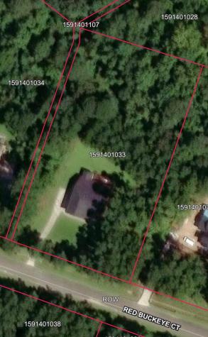 1206 Red Buckeye Court Moncks Corner SC 29461