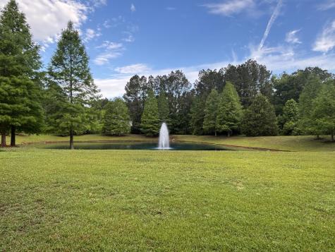 1206 Red Buckeye Court Moncks Corner SC 29461