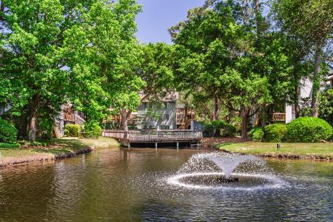 1161 Shadow Lake Circle Mount Pleasant SC 29464