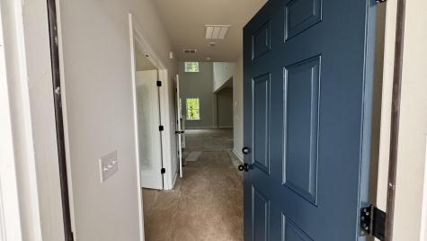5371 Crinum Lilly Summerville SC 29485