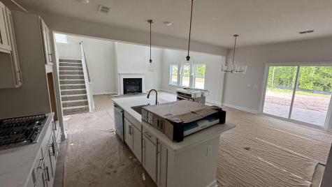 5371 Crinum Lilly Summerville SC 29485