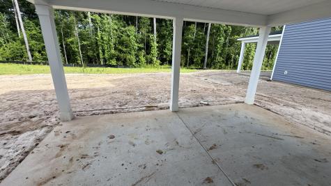 5371 Crinum Lilly Summerville SC 29485